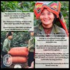 Son La Hills – Vietnamese Speciality Grade 70% Robusta 30%