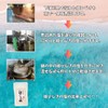 天然塩 姫ひじきの塩 100g 国産 無添加 海水塩 粗塩 天然 カルシウム マグネシウム