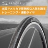 Serfas Seca Wire Bead Tire with FPS, Black, 700X28
