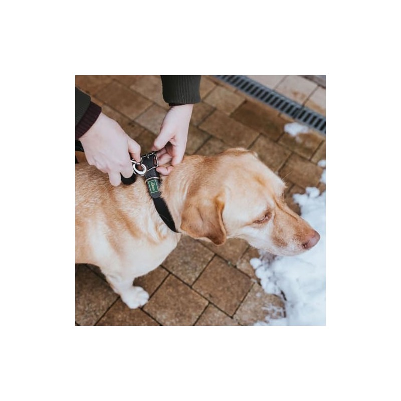 Hunter Convenience Comfort Dog Collar Plastic Material Neoprene 60 L