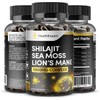 Sea Moss Shilajit Lion Mane 3 in One, with Added