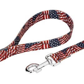 Country Brook Design - 1 Inch Patriotic Tribute Leash - Americana Collection with 6 Patriotic Designs (6 Foot)