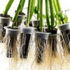 POMRUF B53009 (24) Hydroponics Sponge (Type 1) Mesh Pots 24