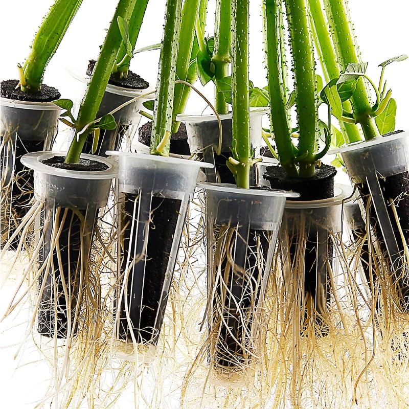 POMRUF B53009 (24) Hydroponics Sponge (Type 1) Mesh Pots 24