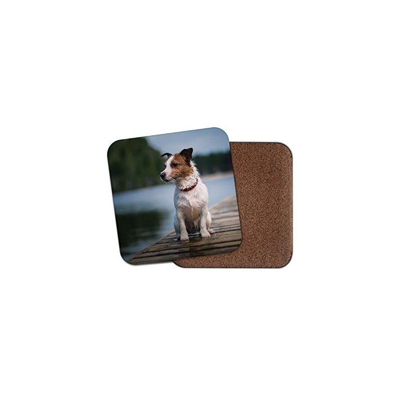 1 x Cute Jack Russell Terrier Coaster - Dog Puppy