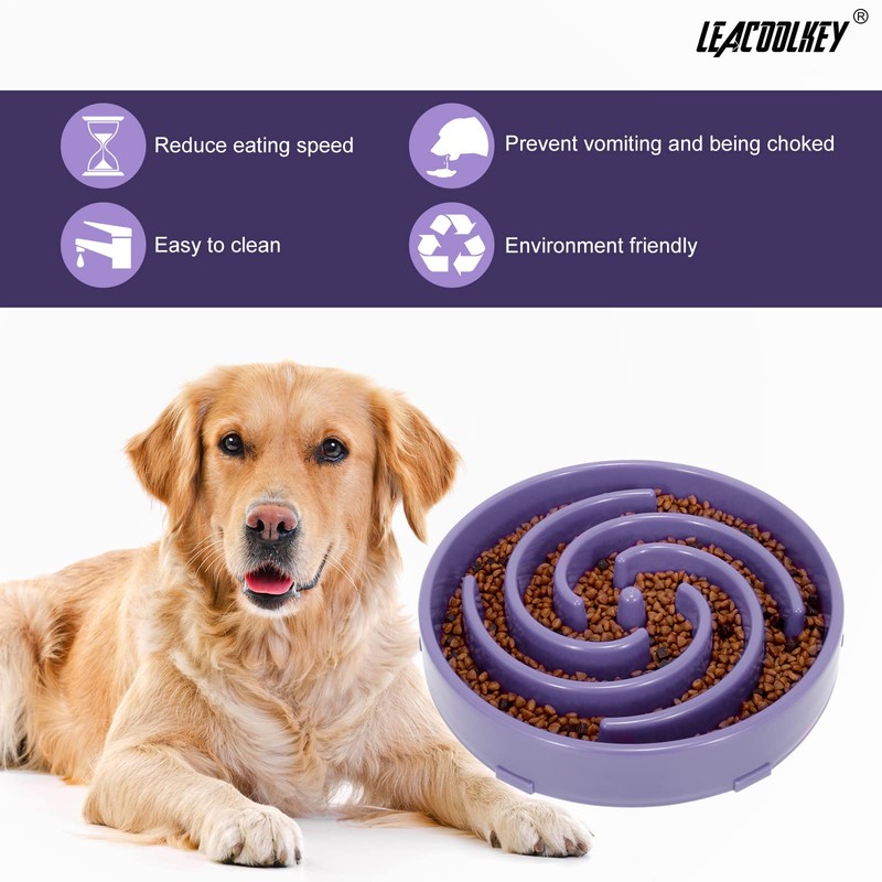 LEACOOLKEY Large Slow Feeder Dog Bowl,Maze Interactive Slow Eating Feeder
