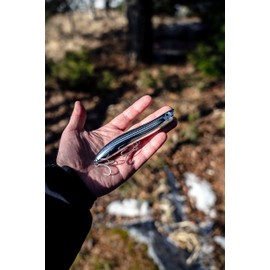 Rapala Poisson Nageur Maxrap Walk N Roll - 10 cm - 13 g - MUL - Floating - MXRWR10 MUL - RA5821122