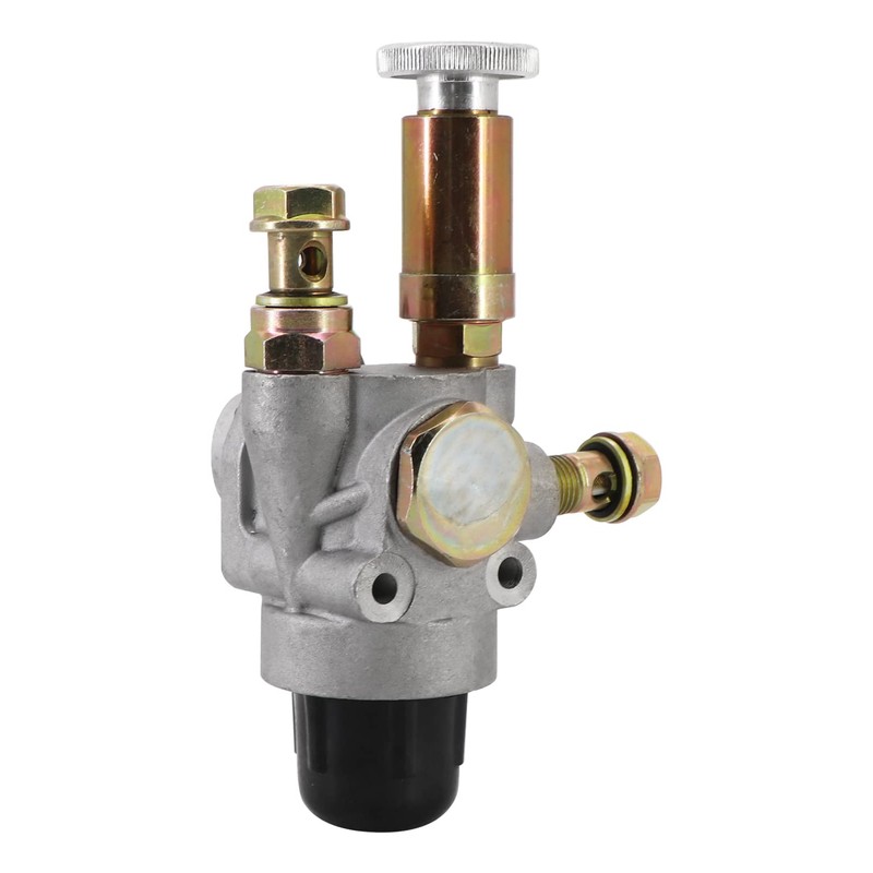 Dokili Kraftstoffpumpe für Multi-car M22 M24 M25 - RS09 GT124