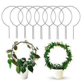 Acrux7 10 Pcs Circle Trellis for Potted Plants Trellis for Climbing Plants Indoor Plant Trellis Plant Supports for Vines Hoya Topiary Frames