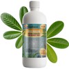 GARDENERA Premium Organic Seaweed & Kelp Superfood for Money Tree