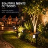 9-LED RGB Solar Spot Lights for Outdoor Landscaping – IP65