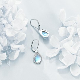 CRMAD Boho Moonstone Earrings for Women Sterling Silver Moonstone Dangle Earrings Moonstone Jewelry Gift for Women (moonstone)