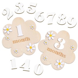 Burbell 3D Wooden Daisy Baby Monthly Milestone Cards 1-12 Months Interchangeable Monthly Milestone Discs Baby Announcement Sign for Baby Shower Newborn Photo Props Gifts