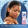Dial Body Wash, 6 Pack, Apple Blossom Scent, Hydrating and