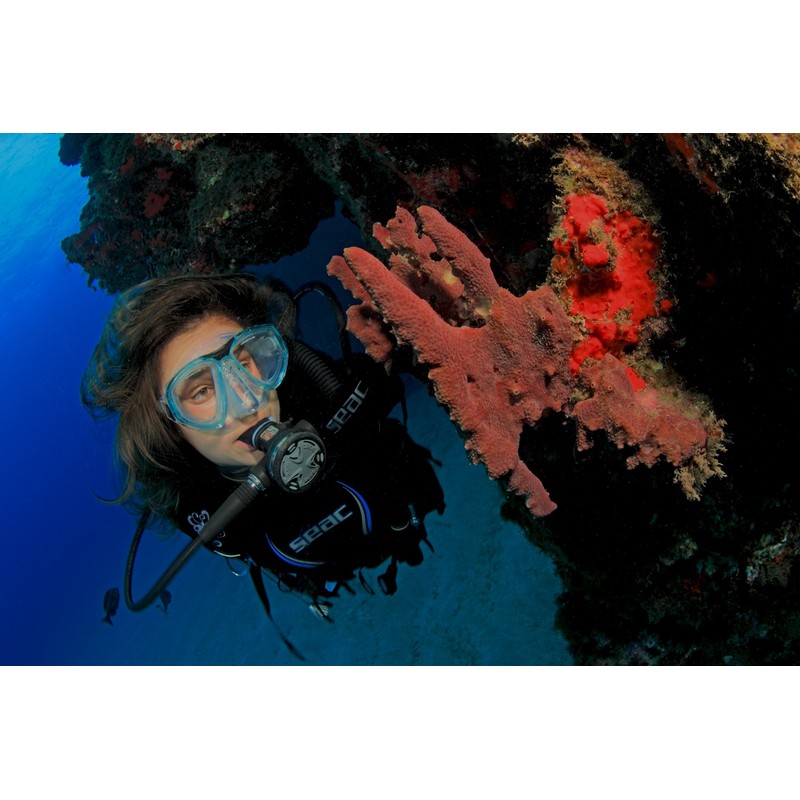 SEAC Men's One Mask, Blue, Small