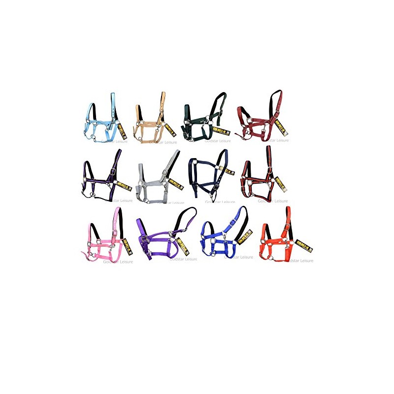 GS Equestrian Padded Cob Head Collar - Black/Purple/Black