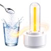 Safe Candle Lantern Alternative, Battery-Free Emergency Light for Power Outages
