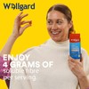 Wellgard High Fibre Gummies With Folic Acid, Vitamin B and