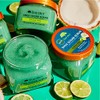 TREE HUT, Coconut Lime Shea Sugar Scrub, Exfoliante Corporal de