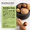 NUTS U.S. – Mixed Nuts In Shell (Almonds, Walnuts, Hazelnuts,