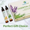 ORIENTLEAF Essential Oils Set for Diffusers, Fragrance, Aromatherapy Gifts for