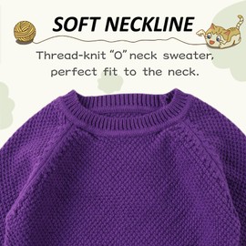 Peecabe Toddler Baby Girl Boy Cable Knit Sweater Cotton Infant Pullover Crewneck Long Sleeve Sweatshirt Fall Winter (Purple, 6M)