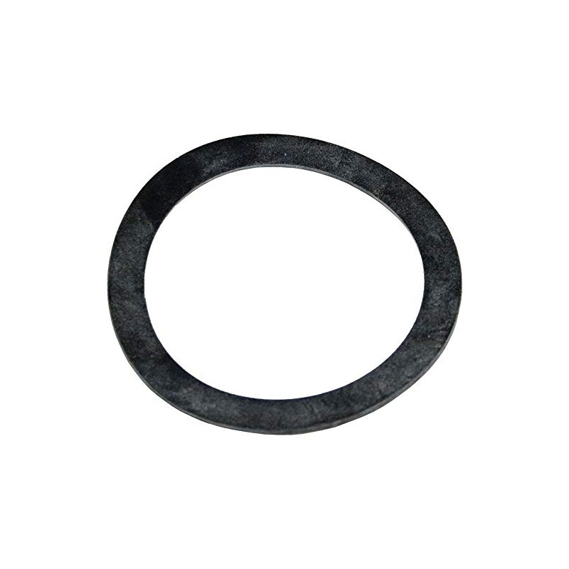 Pentair Gasket, Mytilus/Mitra, Bulkhead, 2-3/8"ID, 3" OD