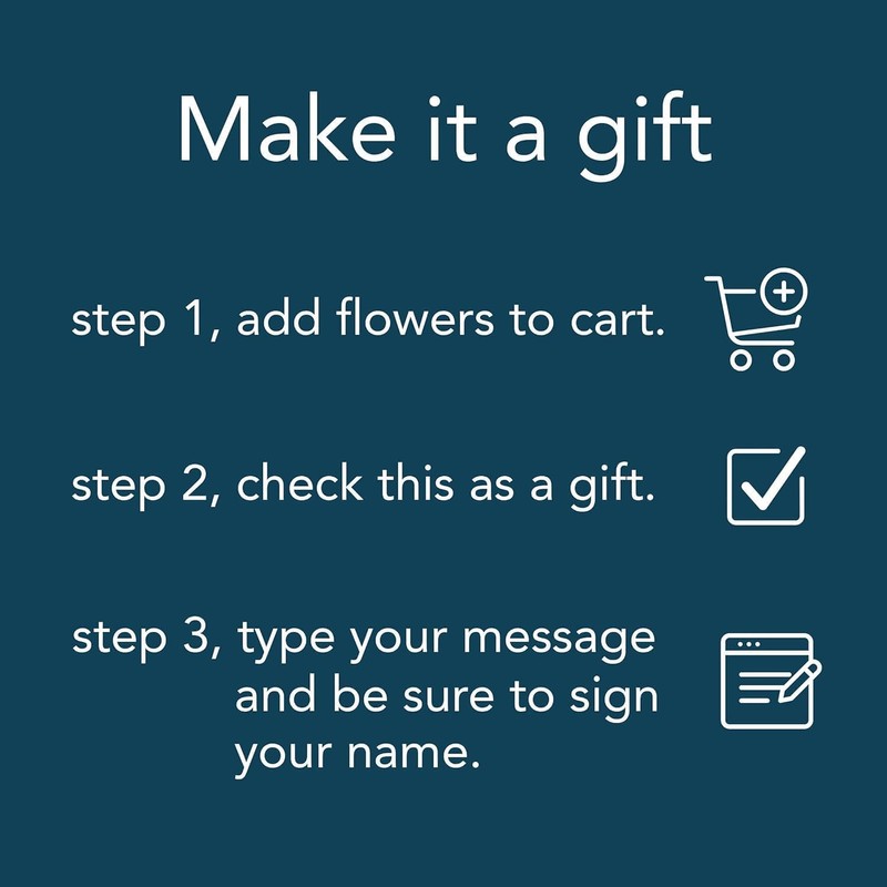 Benchmark Bouquets Mini Carnation Bouquet – Mothers Day Flowers for