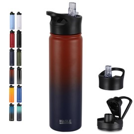 HASLE OUTFITTERS Insulated Water Bottle 22 oz Double Wall Stainless Steel Water Bottle Wide Mouth with Straw Lid & Spout Lid Keeps Cold or Hot(Ruby Purple Gradient,1)