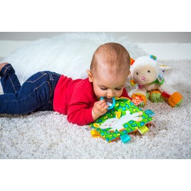 Mary Meyer Taggies Crinkle Me Baby Toy, Sherbet Lamb