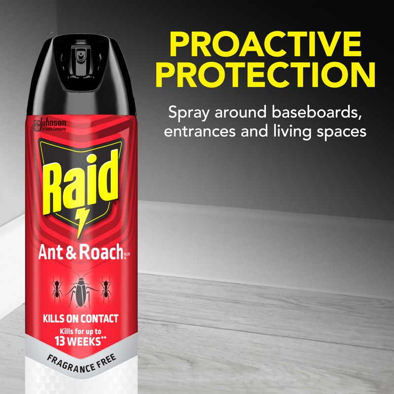 Raid Ant & Roach Killer 26, Fragrance Free Bug Killer