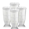 ZeroWater ZR-006 Replacement Filter, 4-Pack