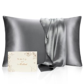 YANIBEST Satin Pillowcase, Silk Pillow Cases for Hair and Skin with Zipper, Standard Pillow Cases Set of 2 for 20"x26", Exquisite Packaging for Women Men