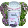 Flawn Seed Kits Creeping Thyme Seed Kit, Easy Spread Shaker