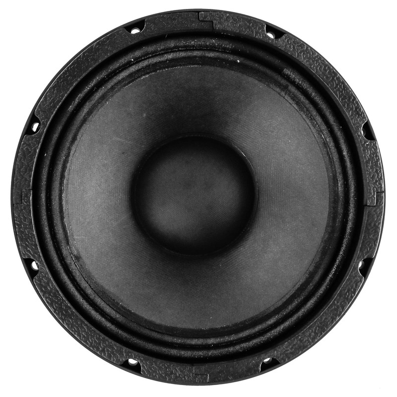 Alphasonik 10" Flagship Series 800 Watts Raw Sub Woofer Speaker
