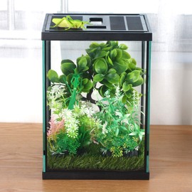 crapelles Black Small Vertical Insect GlassTerrarium, Reptile Tank, for Tarantula Butterfly Larvae Caterpillar Stick Insects Frog Snail Spider Hermit Crab Habitat Container House Cricket breeding Box