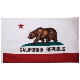 Nylon 210D State Of California Flag 3X5 House Banner With Clips