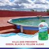 HTH 67032 Super Algae Guard Swimming Pool Algaecide Cleanser, 1