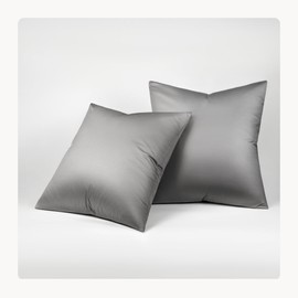 Seralino Tencel Cushion Cover 80 x 80 cm, Grey Dark Grey (Set of 2), 100% Lyocell Pillowcase 80 x 80 cm, High-Quality Cushion Cover, Zip, Oeko-Tex, Breathable, Allergy Sufferers Pillowcases