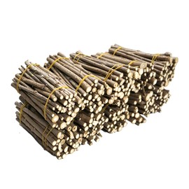 Donggwang Corporation Dongkwang General Products Domestic 10 bundles of quinceanera tree / 동광종합물산 국내산 오가목 오가피나무 10단