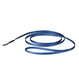 PetSafe Nylon Dog Leash - Strong, Durable, Traditional Style Leash with Easy to Use Bolt Snap - 3/8 in. x 6 ft., Royal Blue