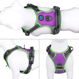 PHOEPET 2019 No Pull Dog Harness Medium Reflective Front Clip Vest with Handle,Adjustable 2 Metal Rings 3 Buckles,[Easy to Put on & Take Off](M, Purple)