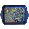 Van Gogh Iris Metal Pocket Empty, 21 x 14 x