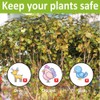 POYEE 50x50ft Bird Netting, 1 inch Mesh, Heavy Duty Garden