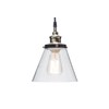 Jackson 1-Light Pendant, Antique Brass, Bronze Accent, Glass Shade,64750
