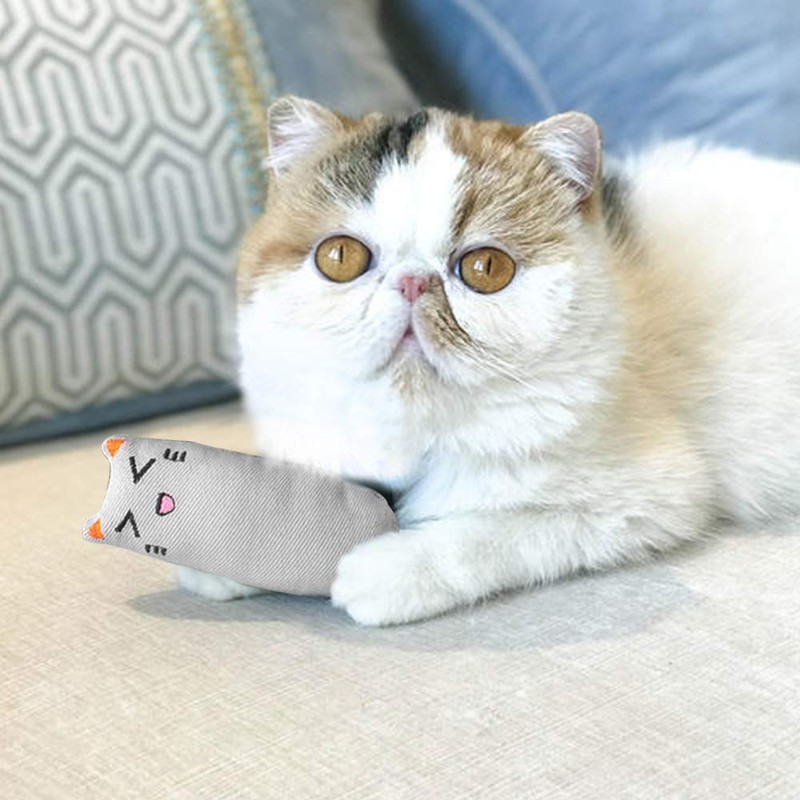 YuCool 5 Pcs Catnip Toys for Indoor Interactive Cat Chew