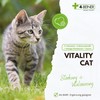 4-BEINER Vitality CAT Comparison Winner, 11 Vitamins for Cats Plus