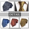 CHROME CRANE NR005 Men's Paisley Pattern Necktie, Solid Suit, Business,