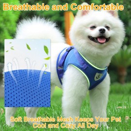 Dog Harness and Lead Set, Soft Mesh Padded Harness, Air Mesh Breathable Chest Harness, Adjustable No Pull Reflective Chest Harness for Puppies, Medium, Small Dogs