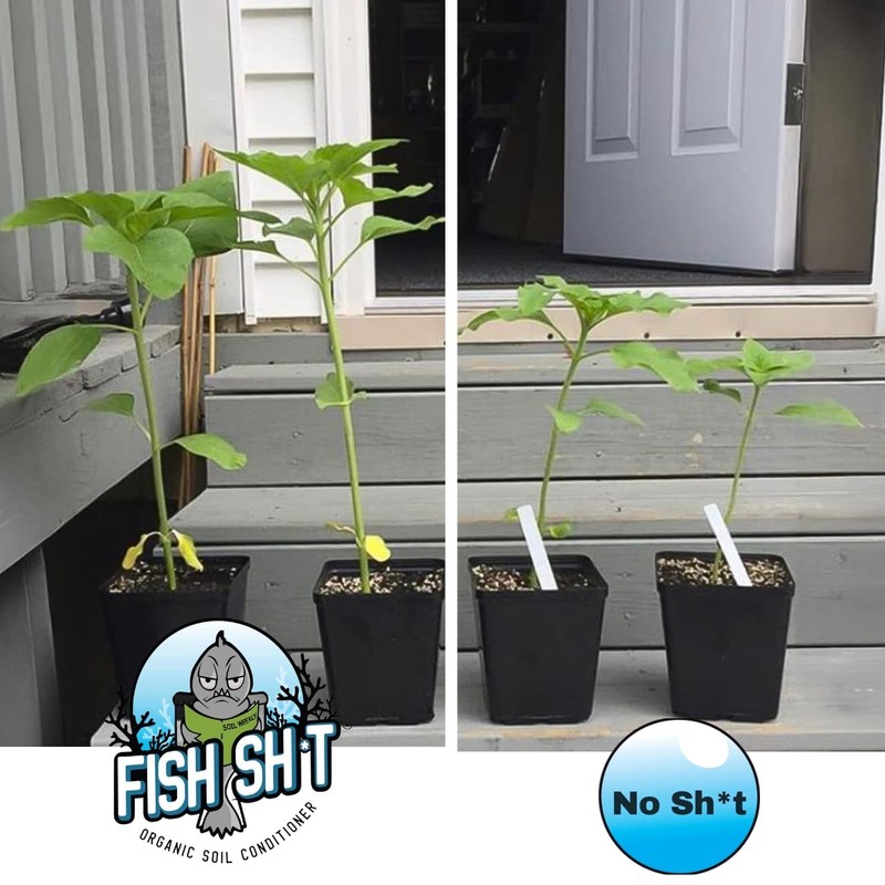 Fish Head Farms Organic Soil Conditioner for Yield and Flavor